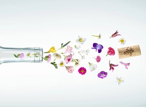 expovina-primavera-frühlings-weinmesse