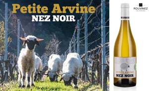 Rouvinez_Swan_mur lumineux