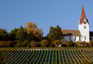 Zweifel-Zürich