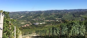 abbate e calvi-piemont