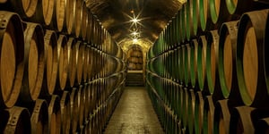 vinotheque_marques-de-riscal