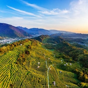 prosecco docg