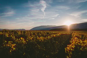 vinumworld_rioja