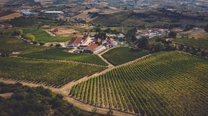 Amarela