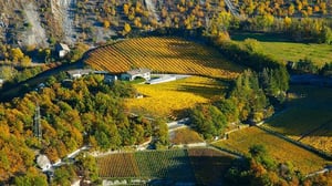 Domaine Rouvinez