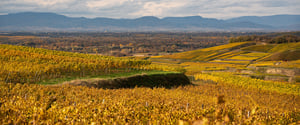 Kaiserstuhl-Masterclass-Cavetta