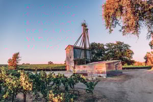 Masterclass-USA-American-Wines-Factory