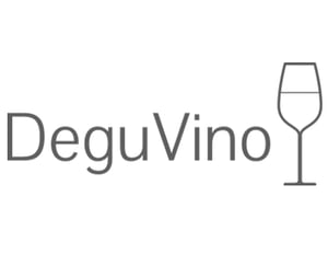 DeguVino Expovina App Partner