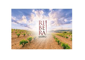 Image: Ribera del Duero_SCHULER Expovina 2026_Masterclass