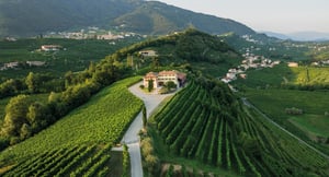 Masi-winery