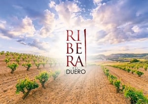 Ribera-duero-schuler