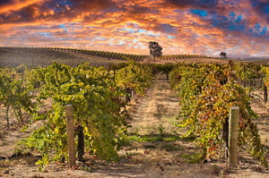 Paso Robles in Central California