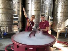 Tamis-dupf-expovina-pop-up